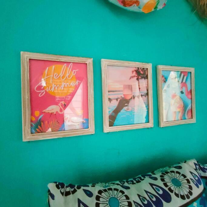 Apartment Palm Haven *