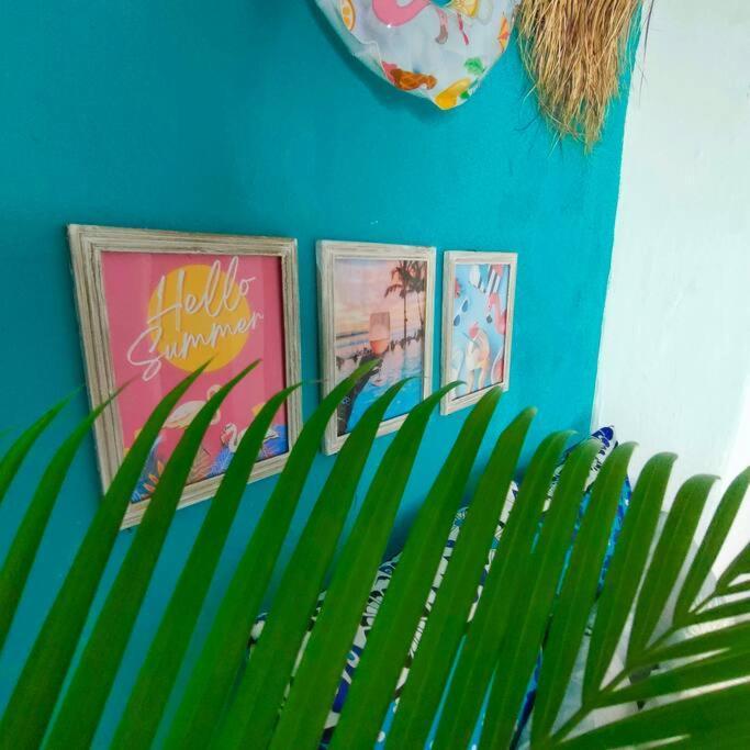 Apartment Palm Haven *
