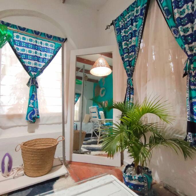 Palm Haven Apartment